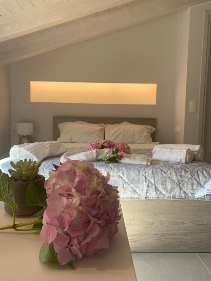 Terpsichore Boutique Bright New Sofita Studios And Appartment Dassia  Exterior foto